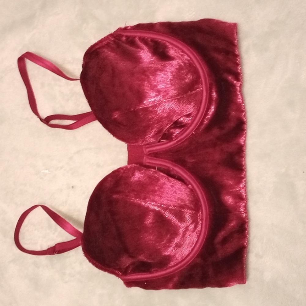 NWT VS Bra
